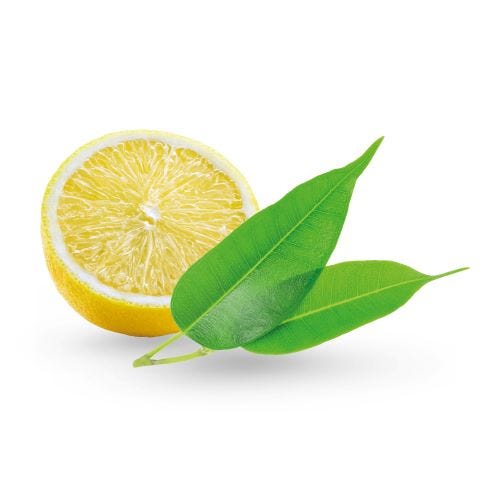 Lemon & Tea Tree